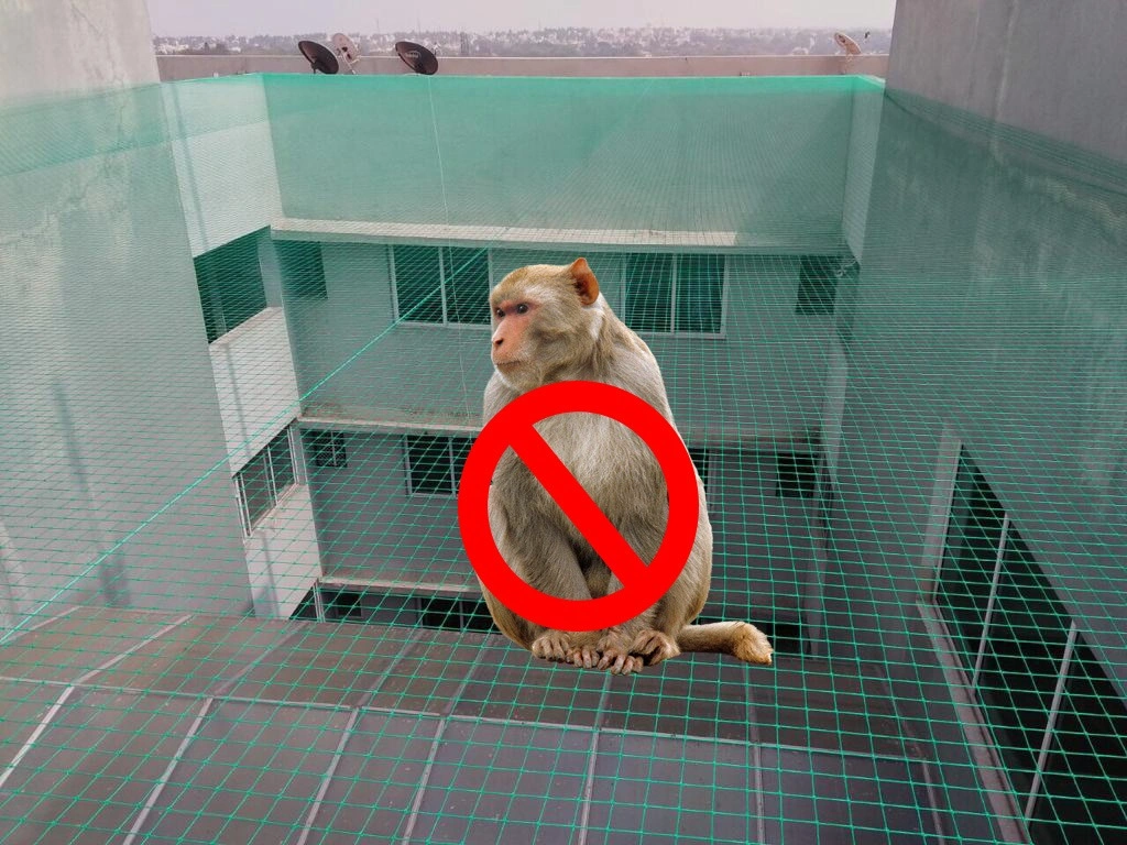 Monkey Safety Nets Bhubaneswar