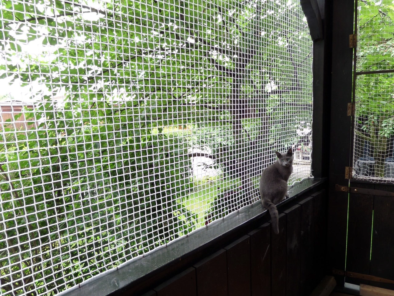 Pets Safety Nets Bhubaneswar