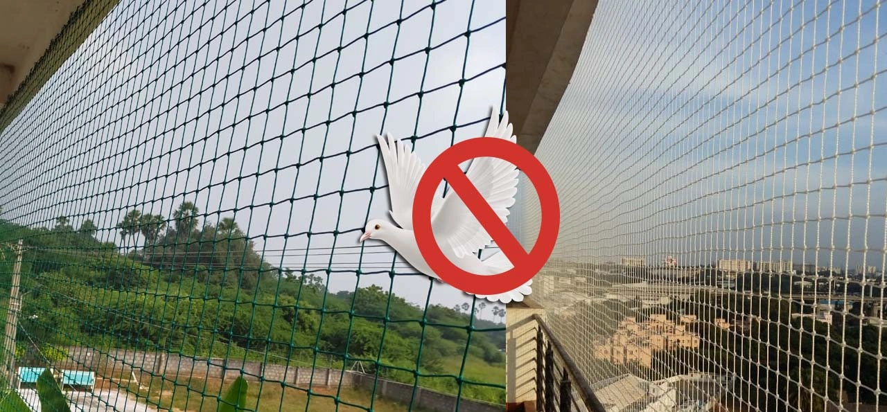 Pigeon Nets Bhubaneswar