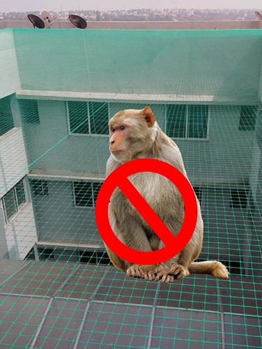 Monkey Safety Nets Bhubaneswar
