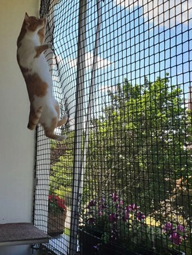 Pet Safety Nets Bhubaneswar